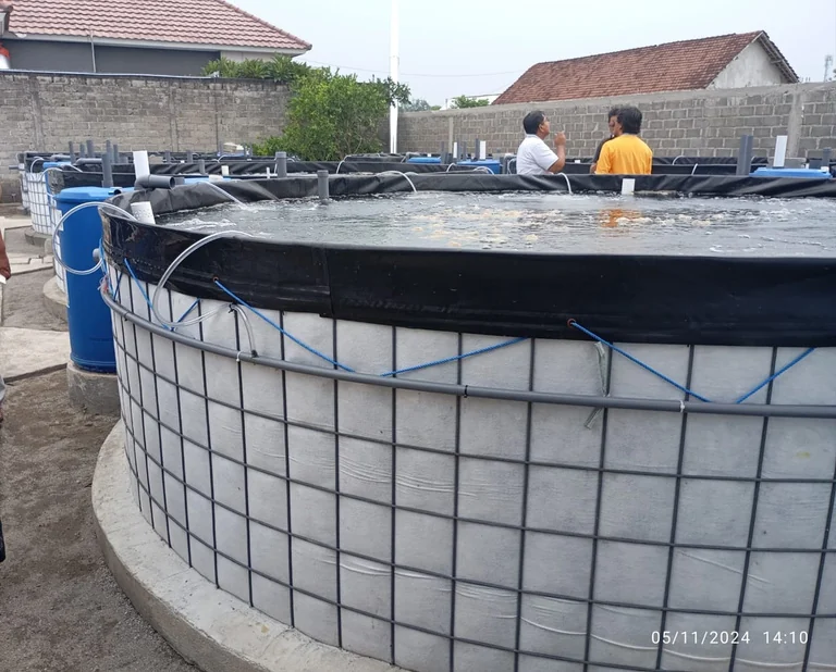 Kolam geomembrane Wiremesh Tjap Iwak Jumbo
