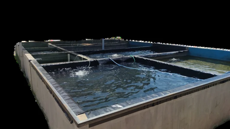 Kolam Geomembrane Custom